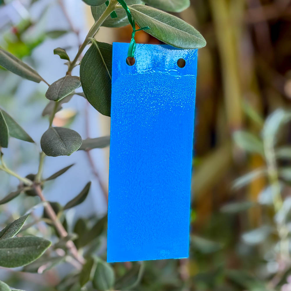 Blautafeln