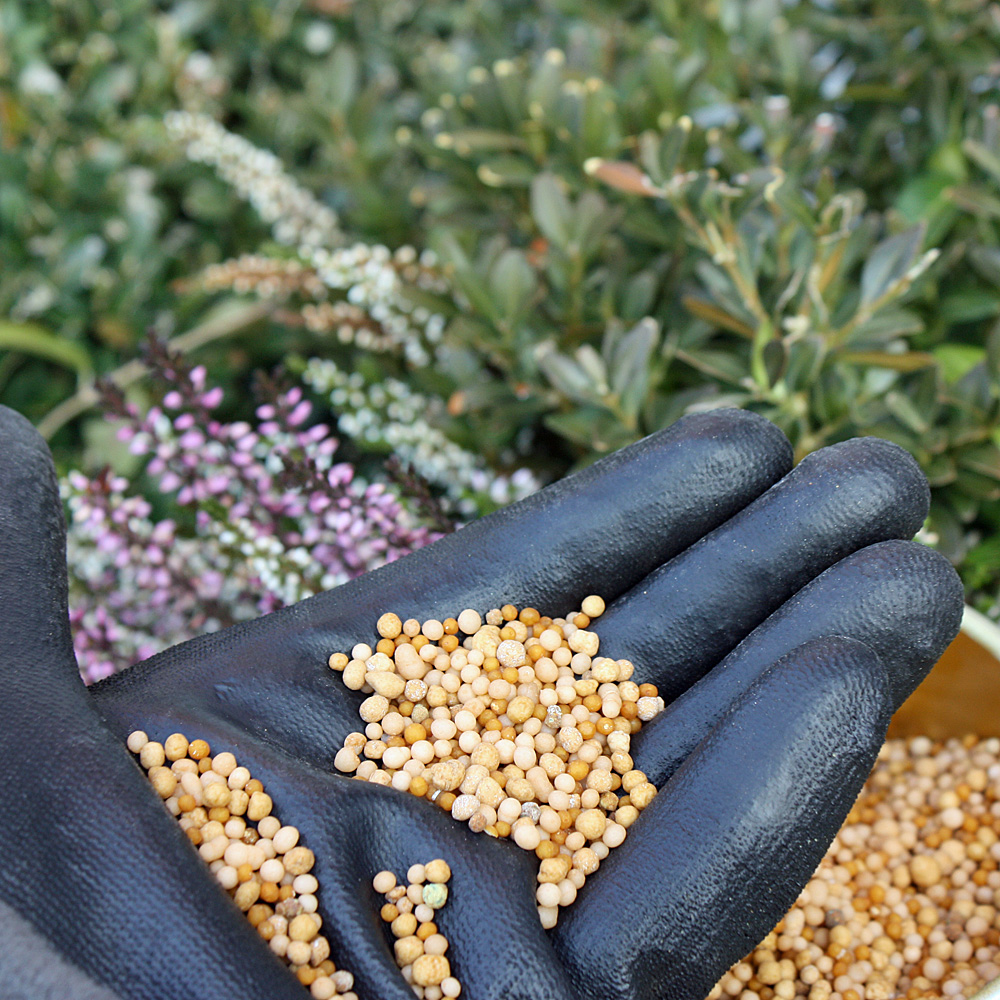 Blumenlangzeitdünger, Dünger, Blumen