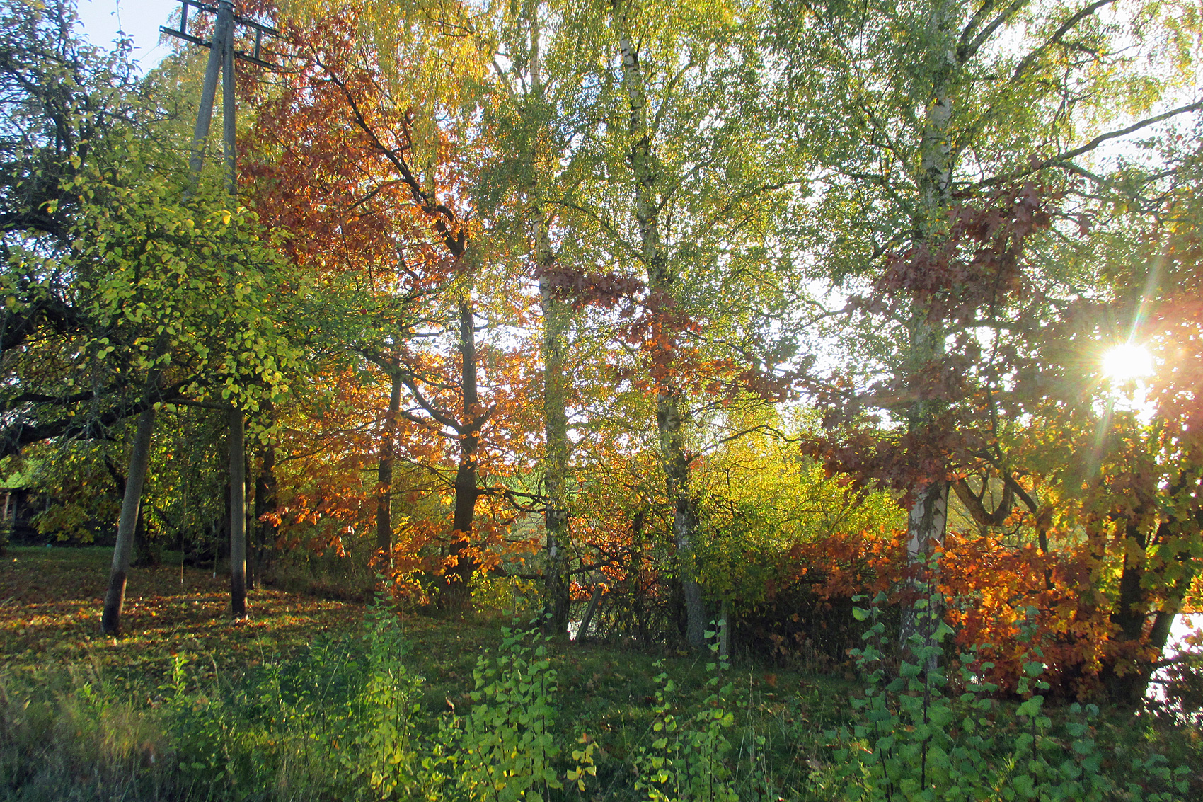 Gartenarbeiten im Oktober