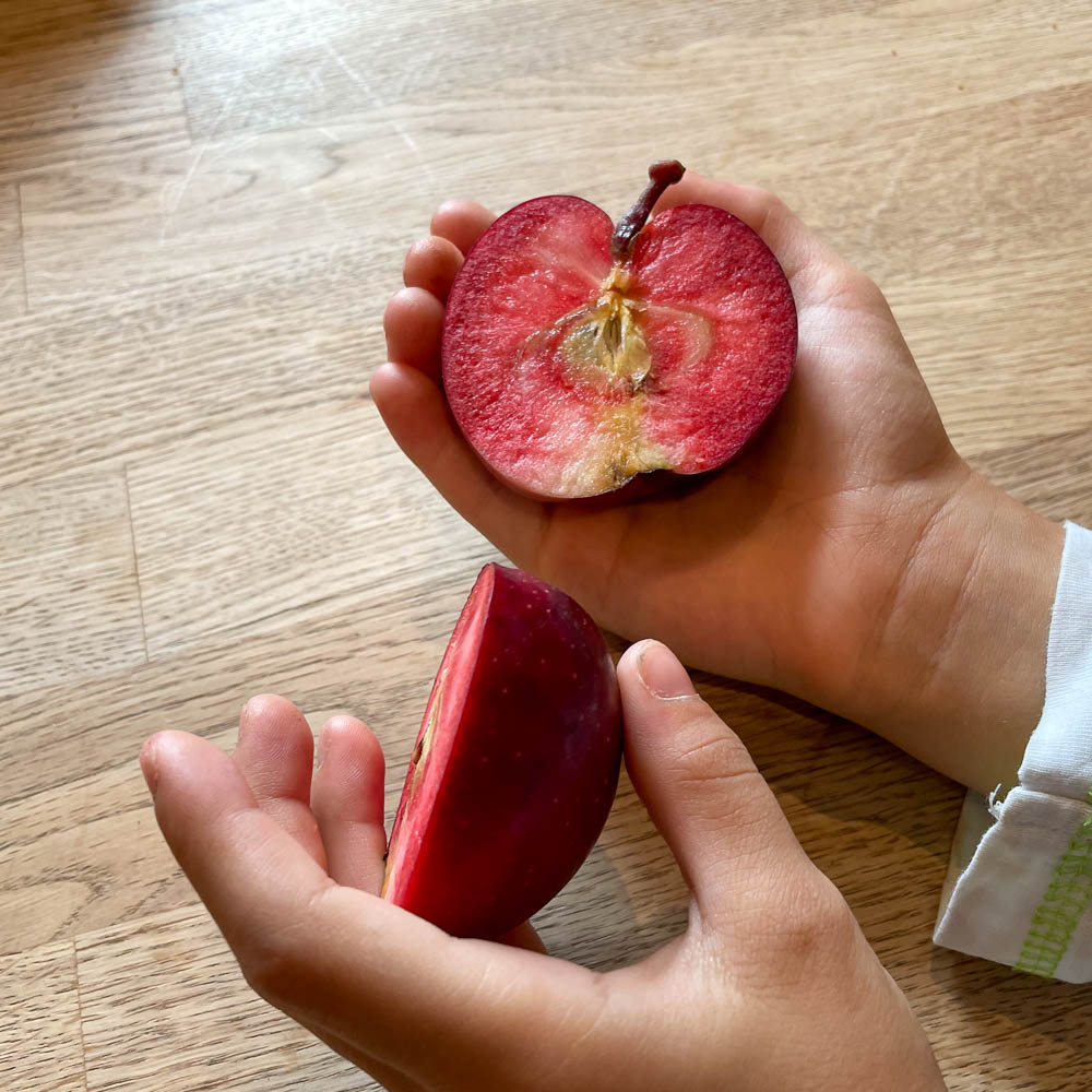 Apfel 'Baya®Marisa'
