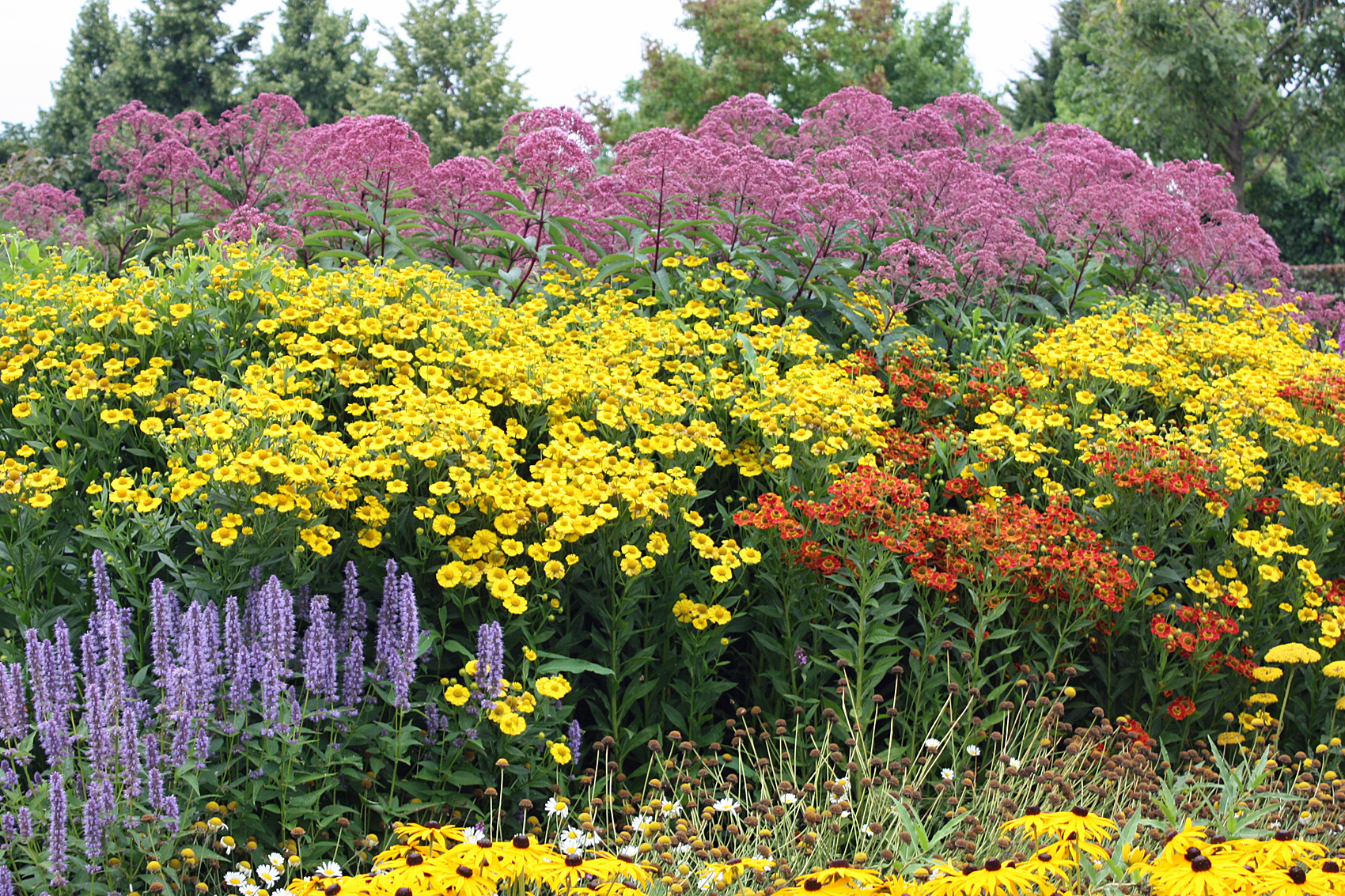 Unsere Empfehlung für Ihr Blumenbeet und für die Rabatte