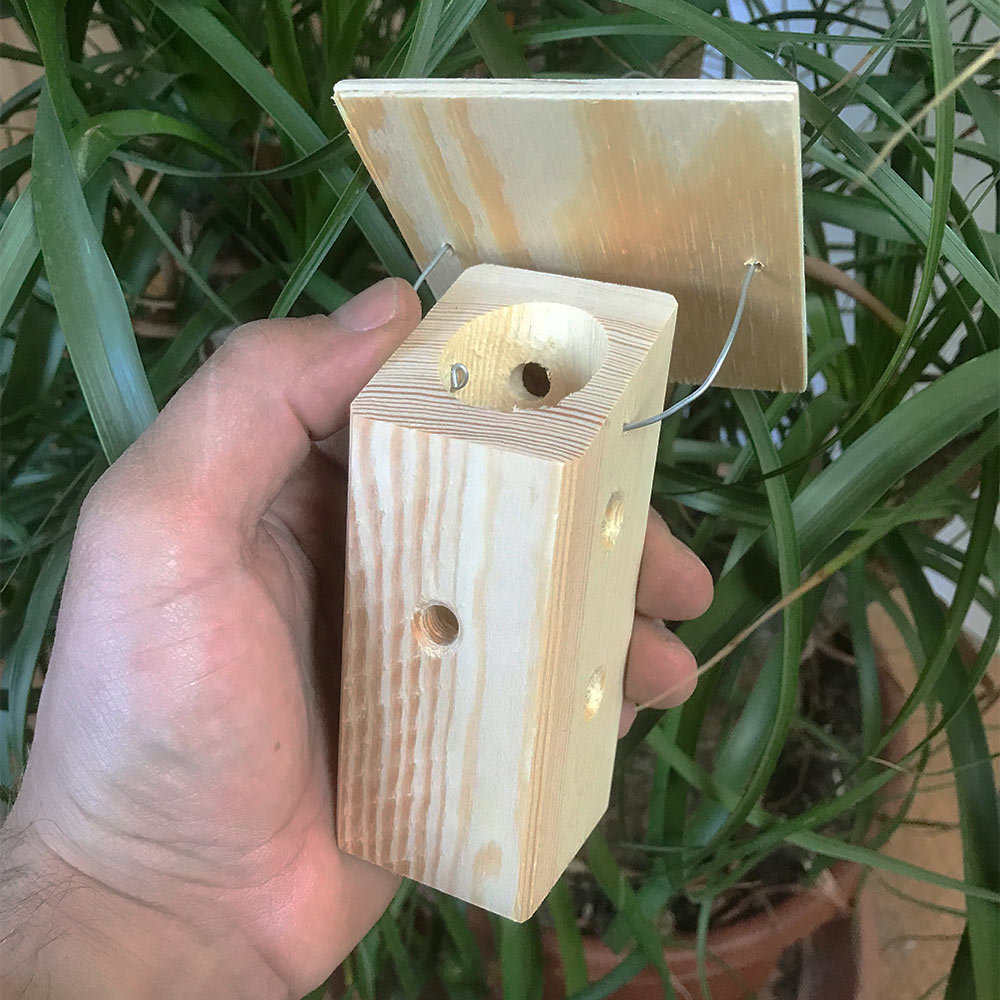 Nützlingsbox