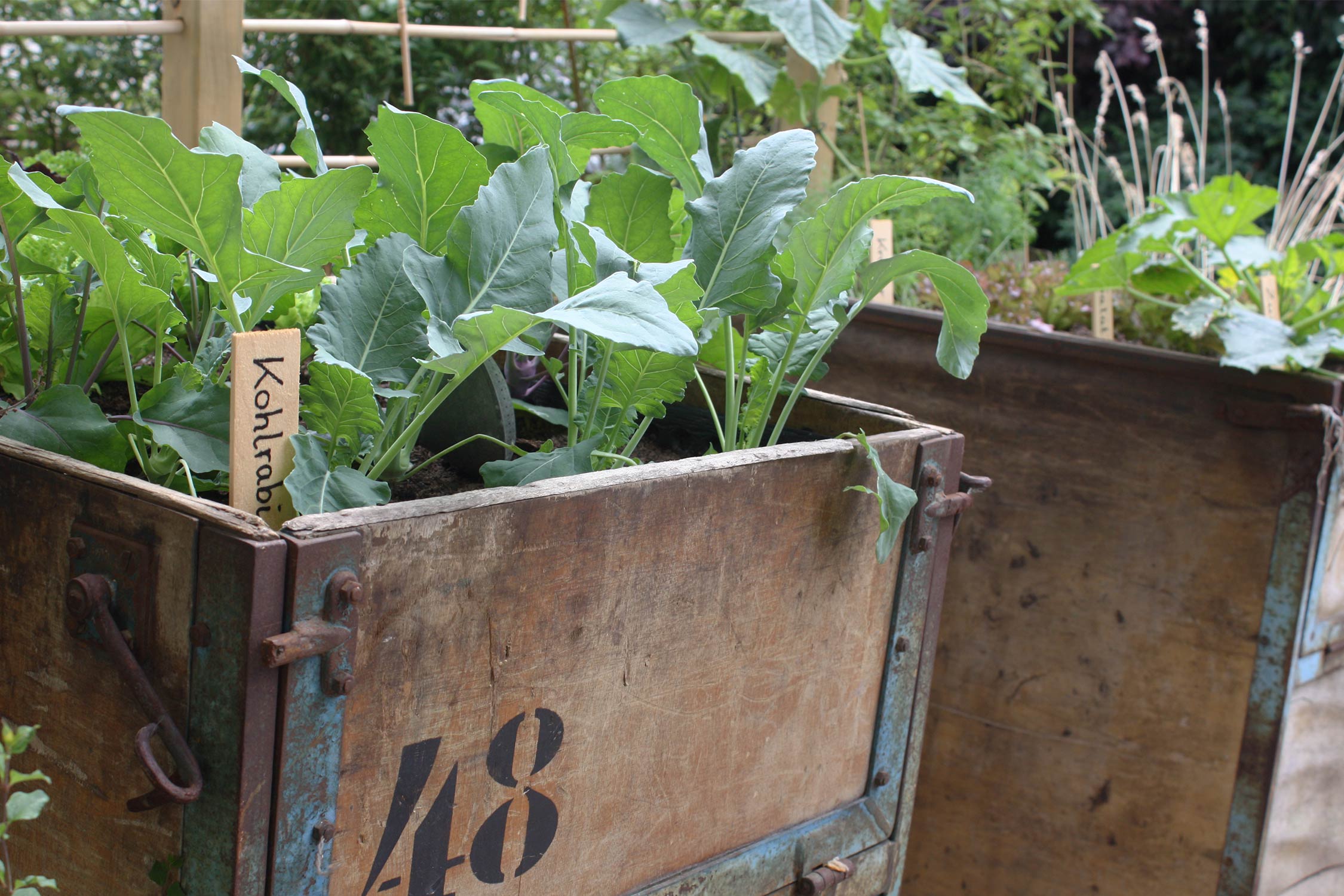 Hochbeet im Garten und auf dem Balkon