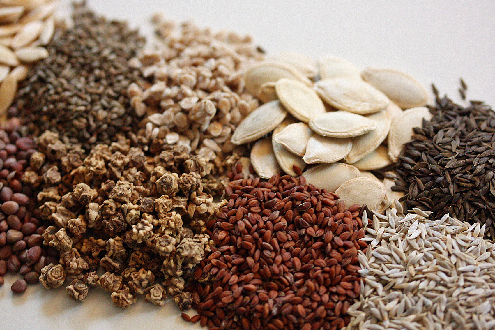 Pflanz- und Pflegeanleitung Saatgut