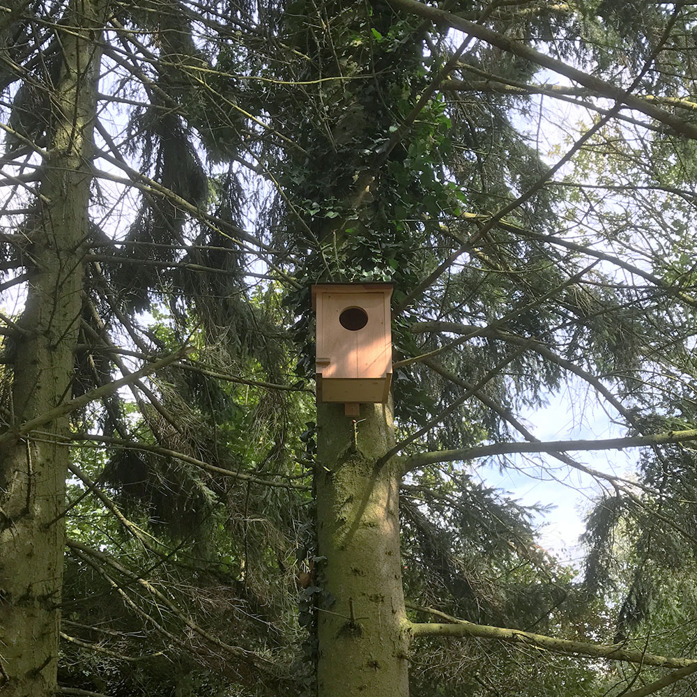 Waldkauzkasten