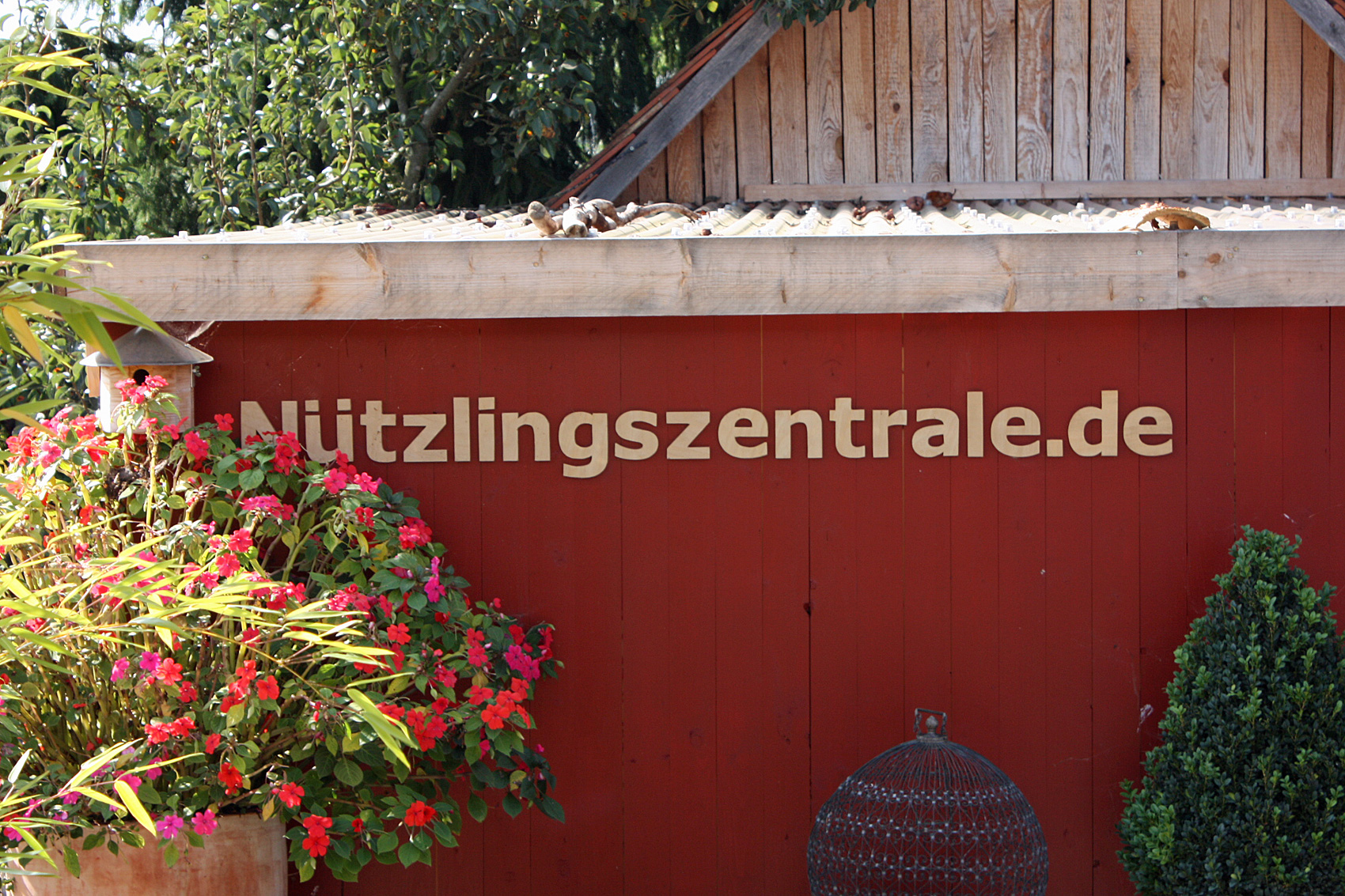 Nützlinge richtig einsetzen