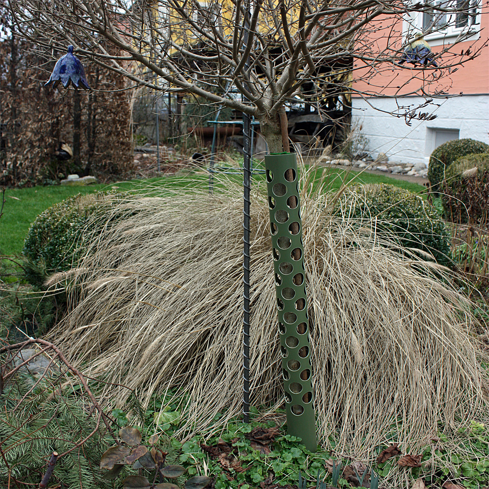 Baumschutz ANTI-KNABB