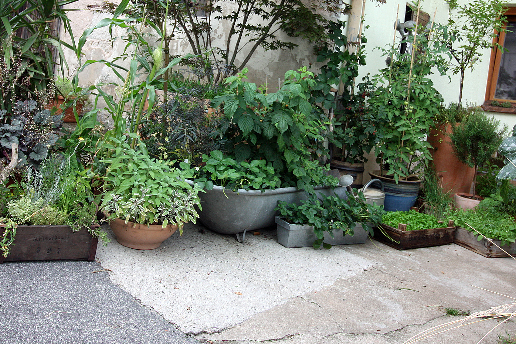 Urban Gardening