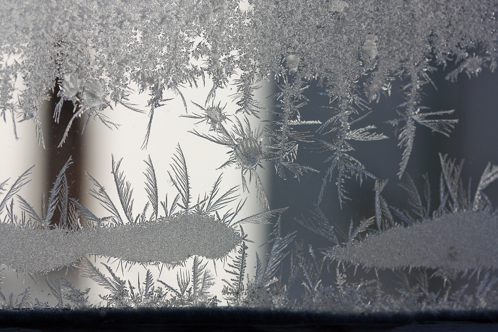 Gartenarbeiten im Dezember