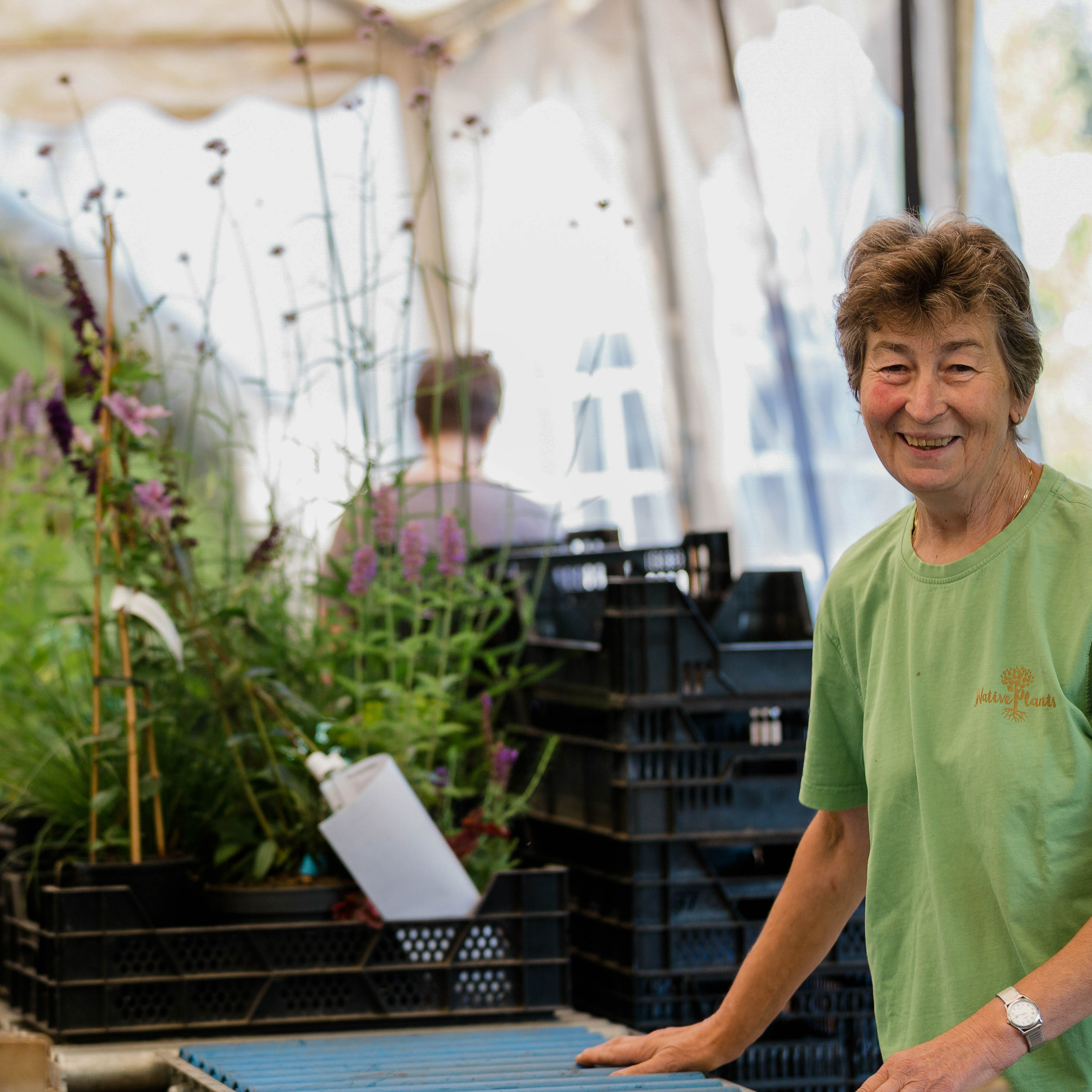 Von der Bestellung bis zum Versand: So arbeiten wir bei Native Plants!