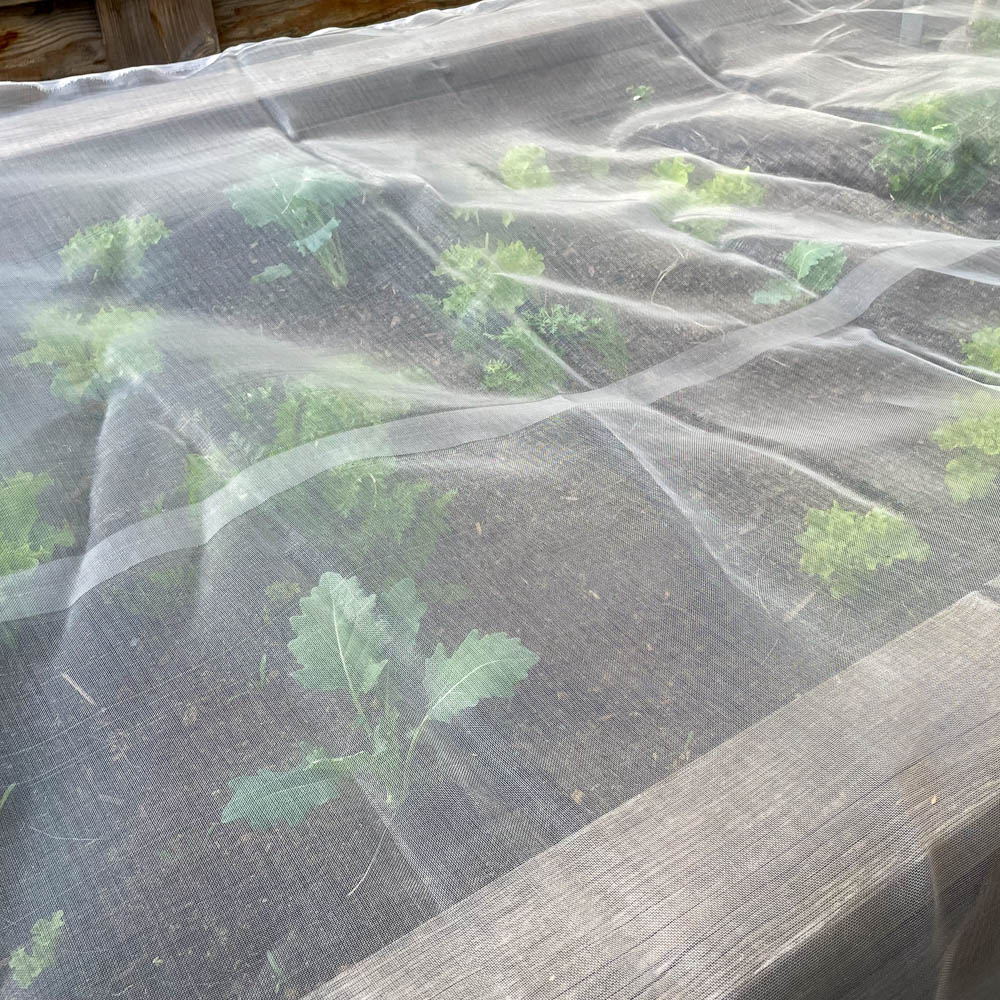 Feinmaschiges Kulturschutznetz