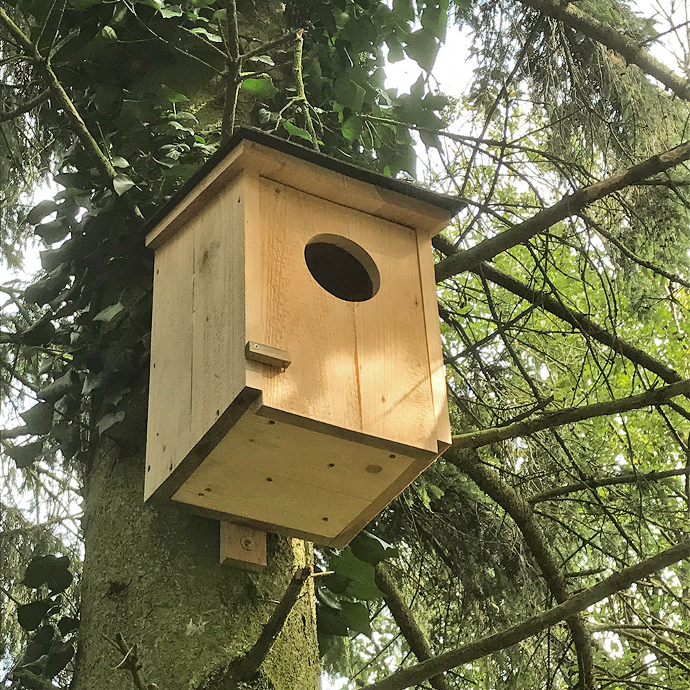 Waldkauzkasten