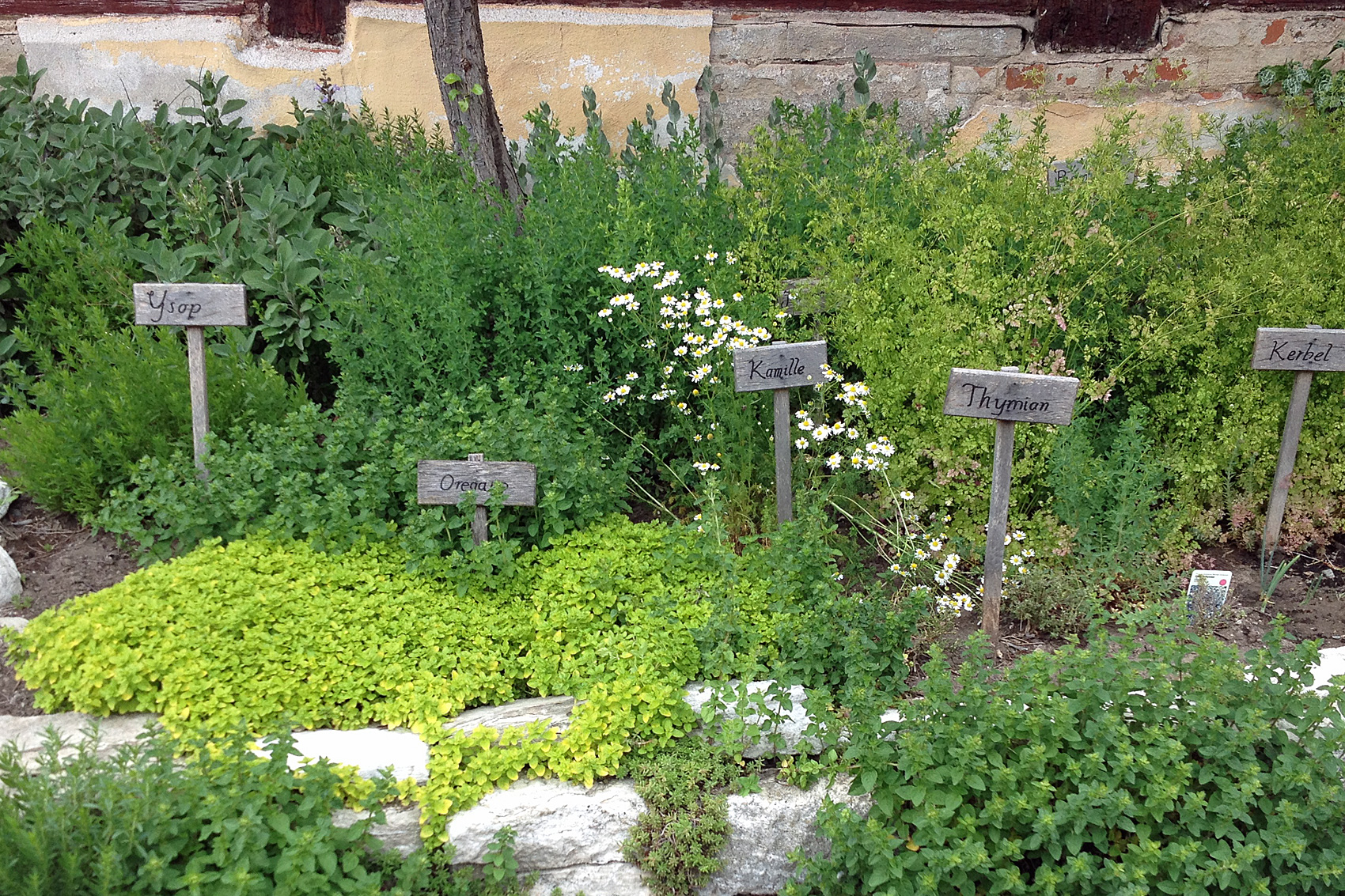 Kräutergarten