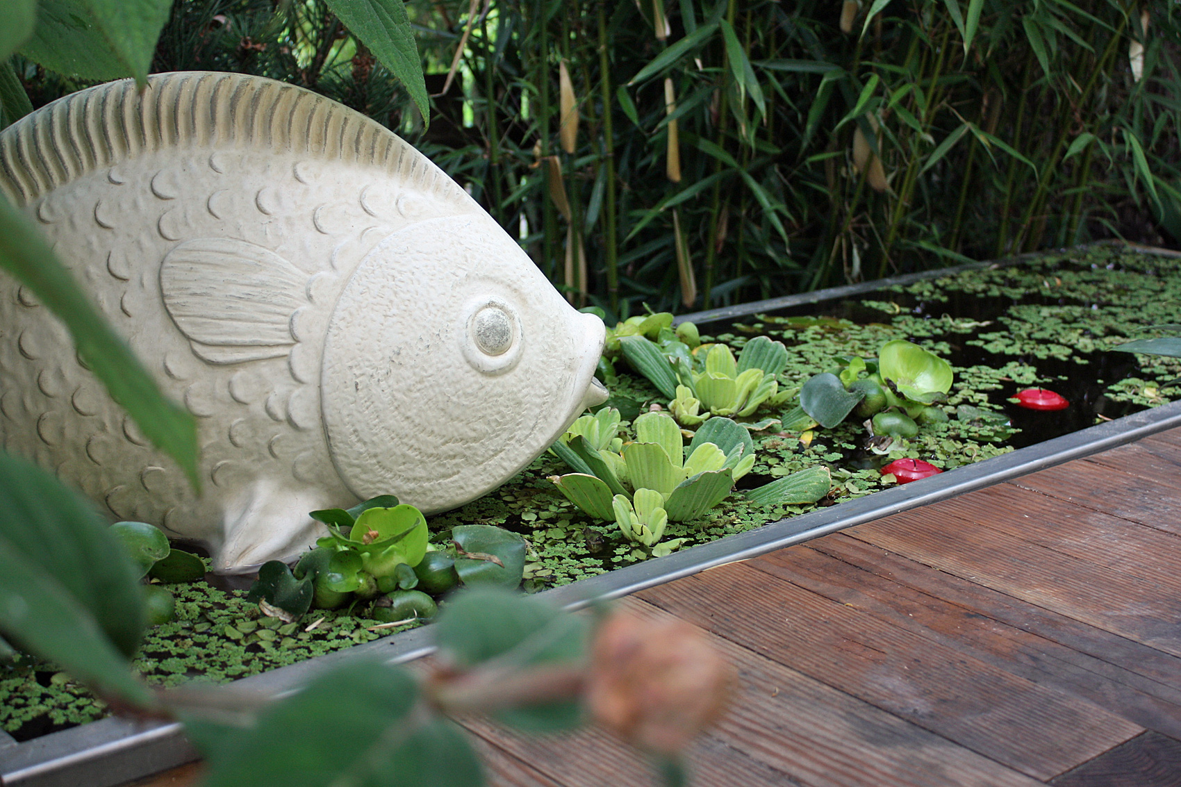 Wassergarten