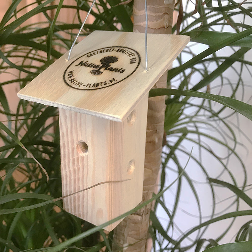 Nützlingsbox
