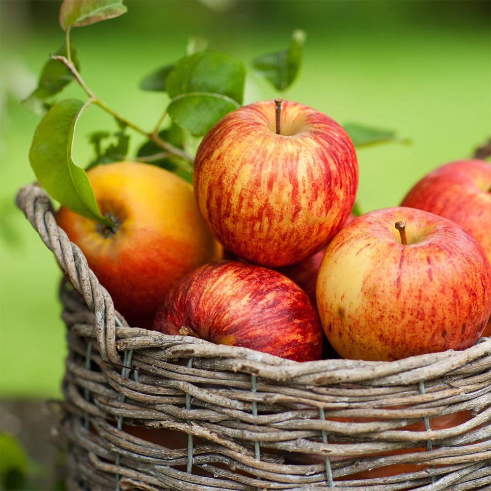 Apfel 'Topaz' ®