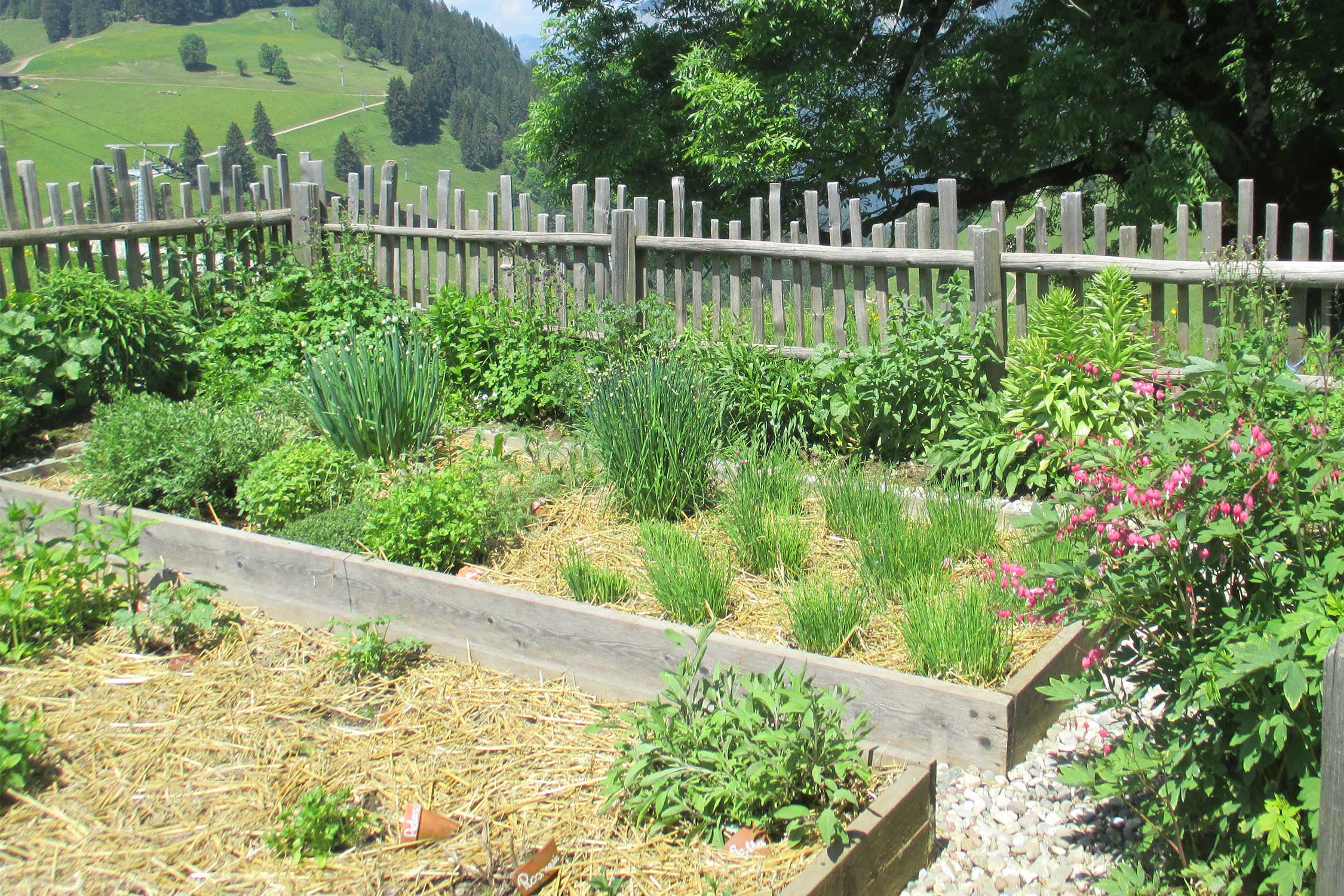 Mulchen im Garten