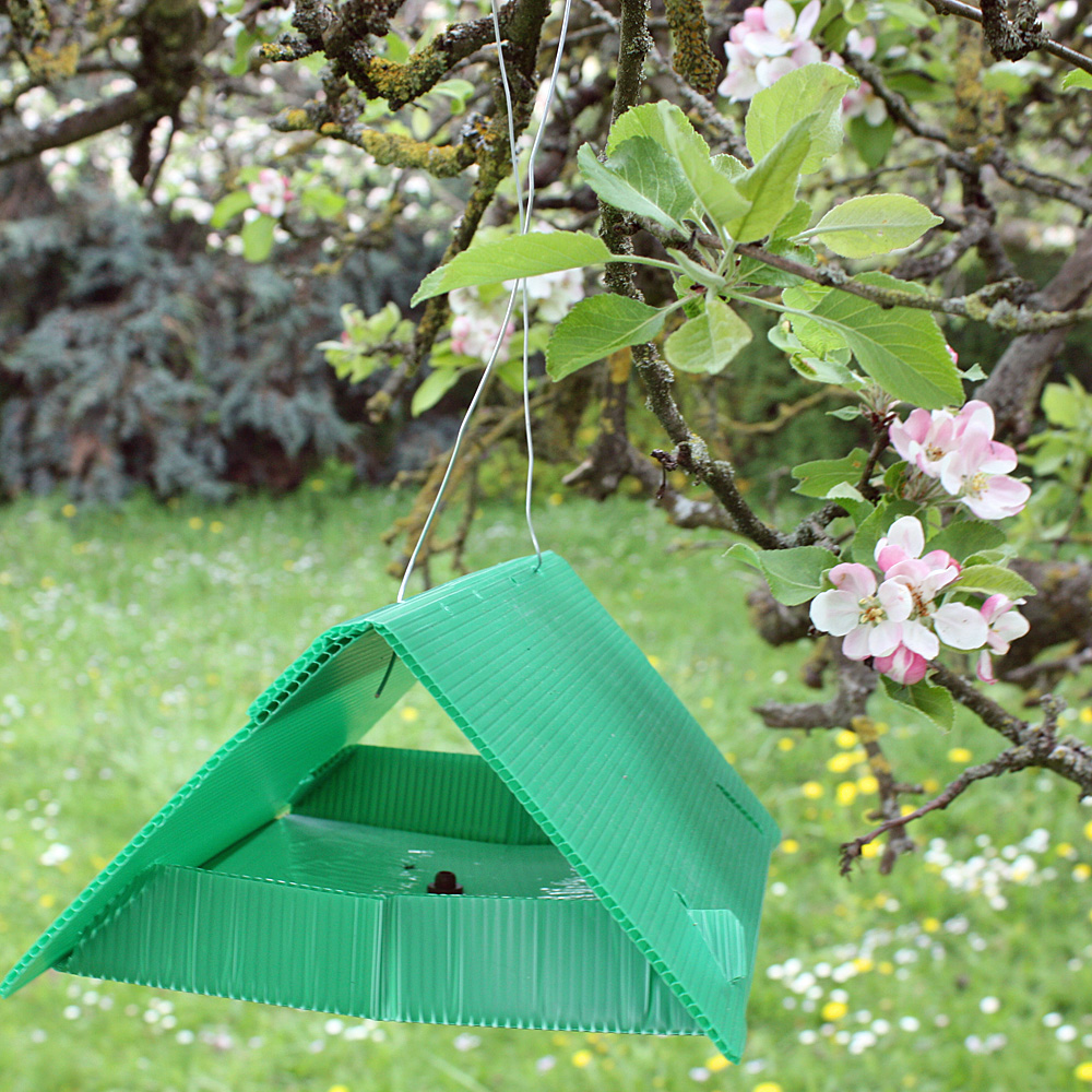 Apfelwickler-Pheromonfalle mit Lockstoff