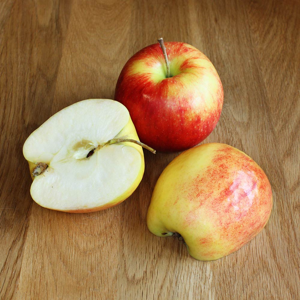 Apfel 'Jonagold'