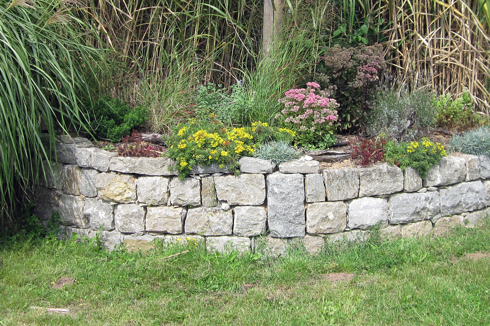 Natursteinmauer - Trockenmauer