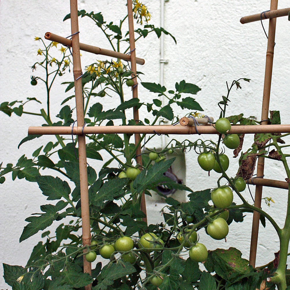 Bambusstäbe 182 cm/12-14 mm