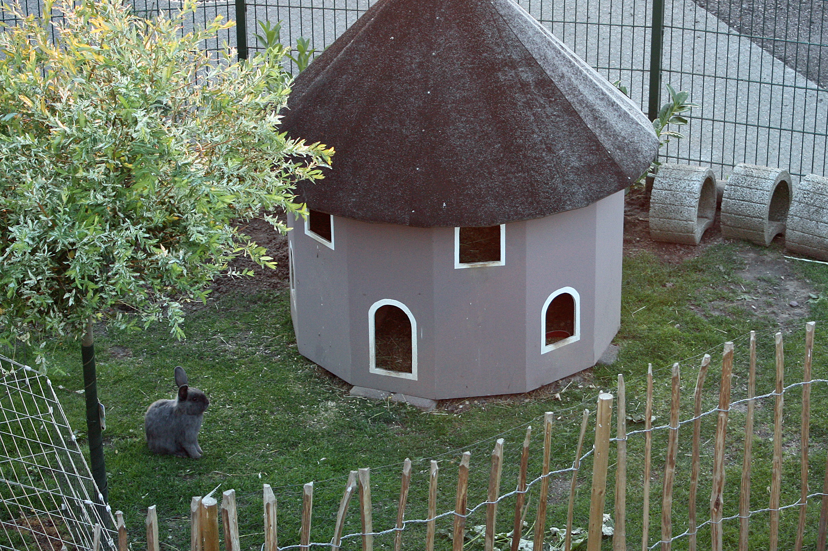 Hasenstall selber bauen