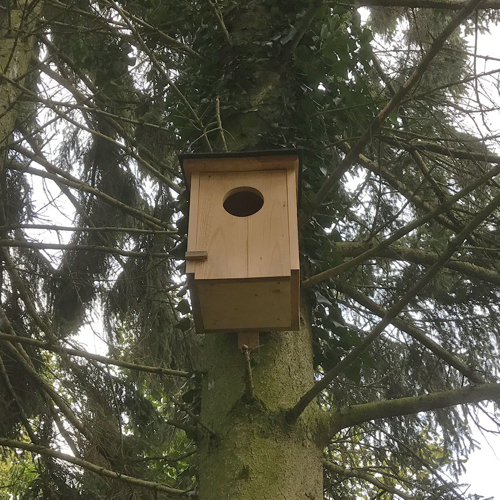 Waldkauzkasten