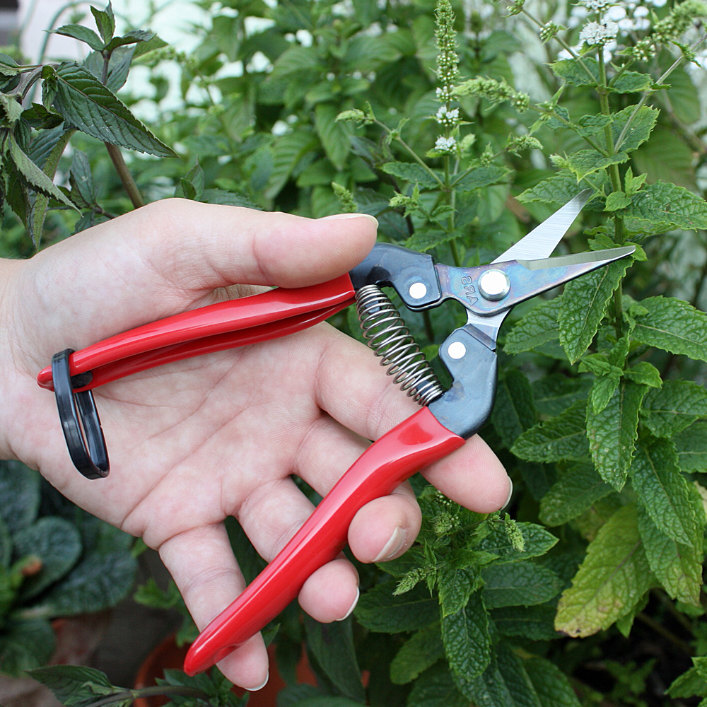 Stecklingsschere 17 cm