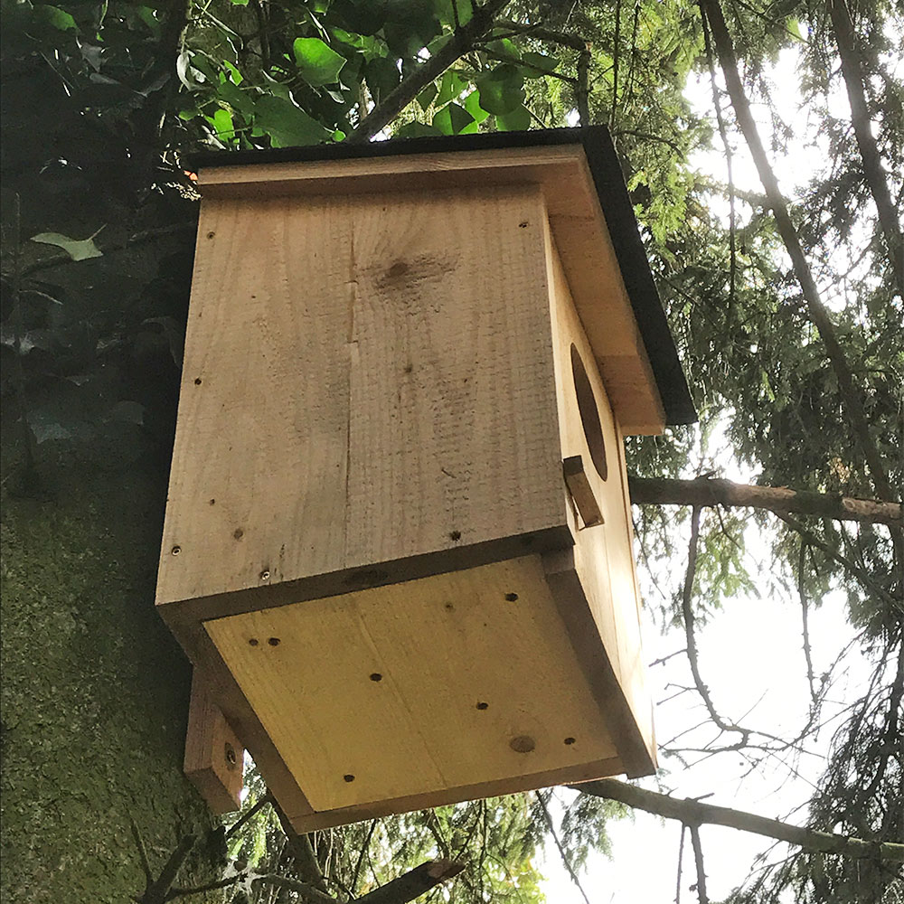 Waldkauzkasten
