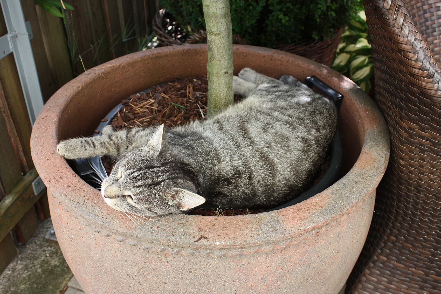 Easy Gardening