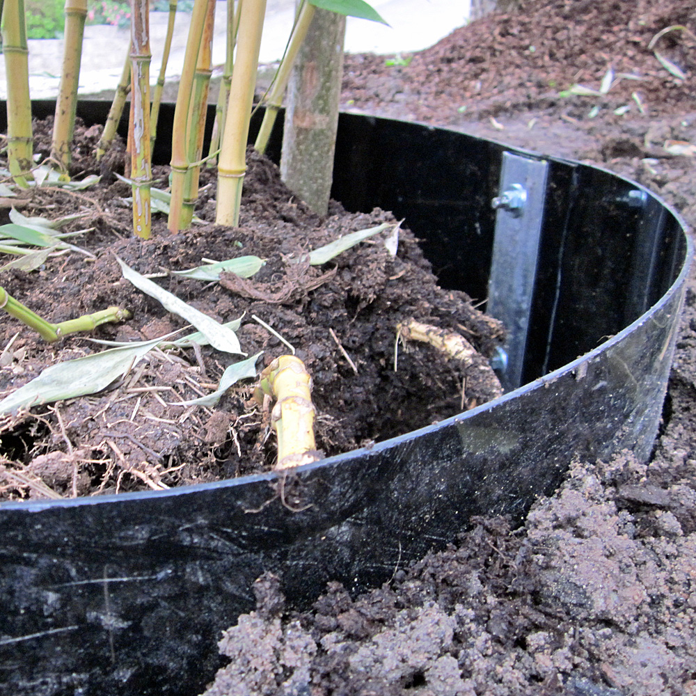 Rhizomspeere 100 cm tief