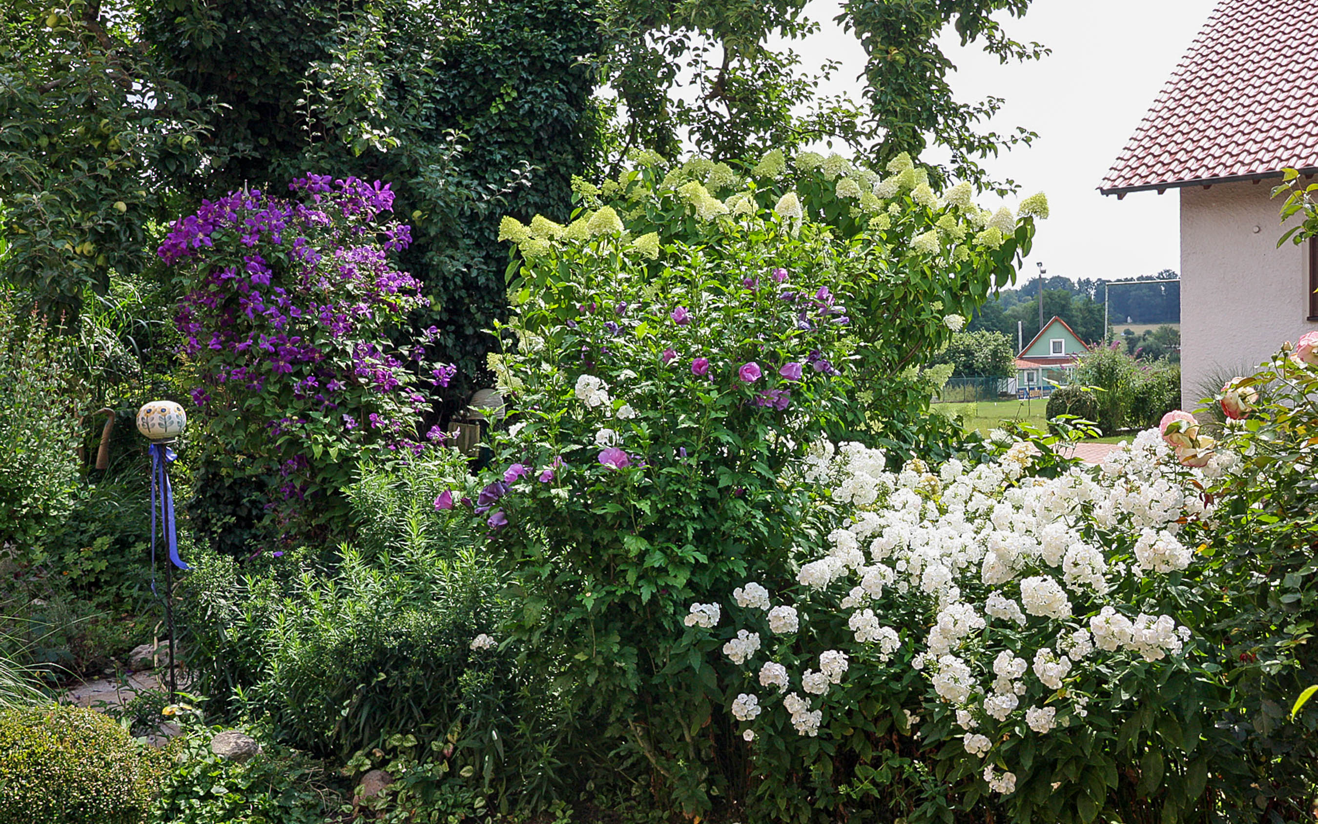 Schöne Blütensträucher für den Garten