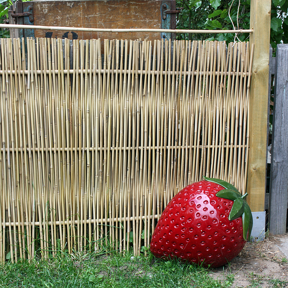 Bambusstäbe 105 cm/8-10 mm