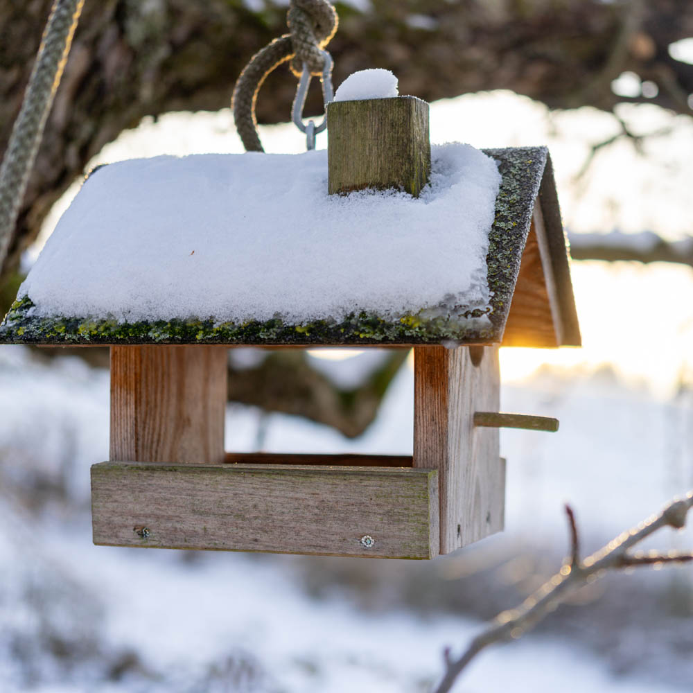 Kleines Vogel-Futterhaus