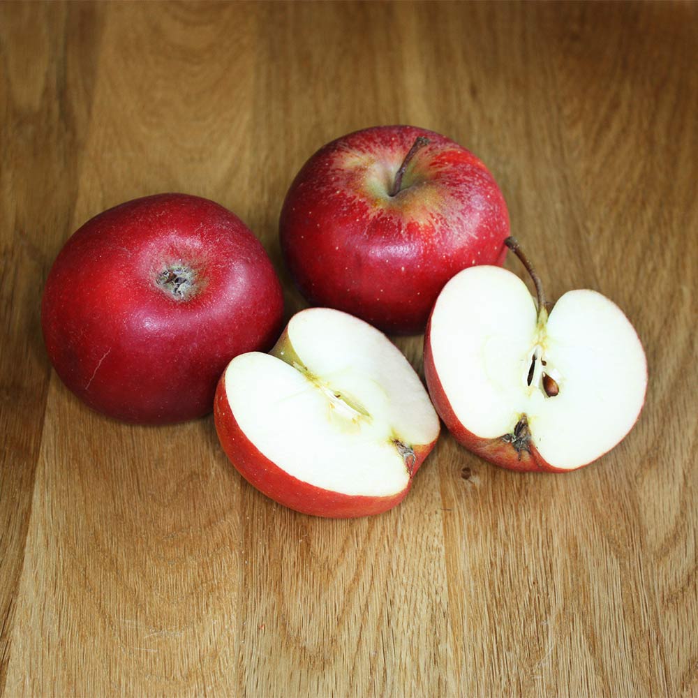 Apfel 'Elstar' ®