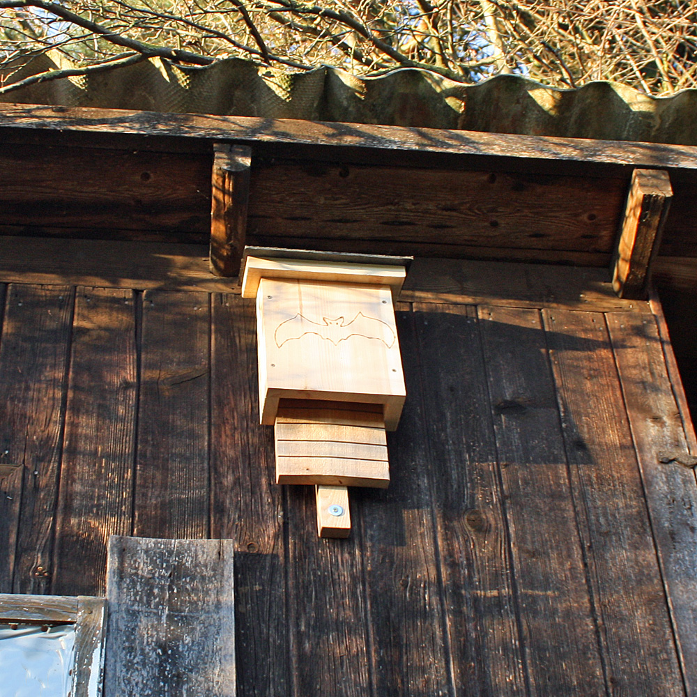 Fledermauskasten für den Garten